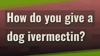 How do you give a dog ivermectin [upl. by Araccat]