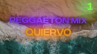 REGGAETON LIVESET 2024  1  Mixed by Quiervo [upl. by Bergen]