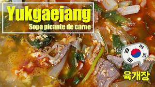 Yukgaejang  Sopa Coreana picante de Carne  Spicy beef soup 육개장 [upl. by Edy949]