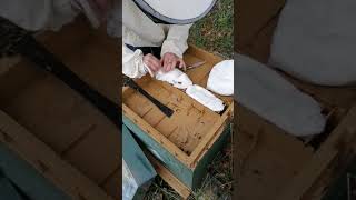 Tuto apiculture  Nourrir au candi avec couvre cadre nourrisseur plastique [upl. by Sitnalta]