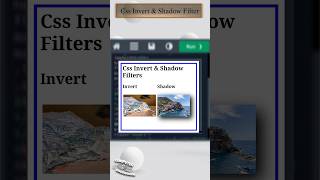 𝐂𝐬𝐬 𝐈𝐧𝐯𝐞𝐫𝐭 amp 𝐒𝐡𝐚𝐝𝐨𝐰 𝐅𝐢𝐥𝐭𝐞𝐫  css invert shadow filter image html htmlcss Educationslearning [upl. by Aihsekal]