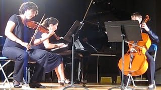 Rondo à la hongroise  Haydn  Trio Dautremer [upl. by Enelad]