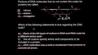 Introns exons and codons [upl. by Nosreffej]