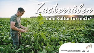 Zuckerrüben – eine Kultur für mich SVZFSB [upl. by Itnava]