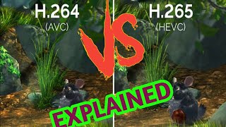 H264 VS H265 EXPLAINED [upl. by Yltneb]