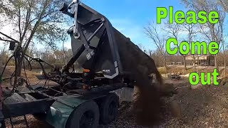 Very sticky dirt vs Demco side dump trailer could be interesting [upl. by Ahsoek]