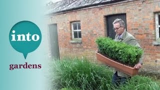 Gardening at Blackpitts Planting a Box Hedge [upl. by Codd694]