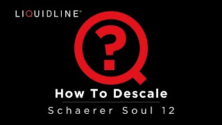 How to Descale a Schaerer Soul 12 Coffee Machine  User Guide [upl. by Noiroc40]