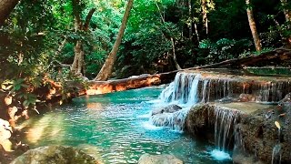 Rainforest Sounds  Water Sound Nature Meditation [upl. by Roberto690]