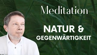 Natur und Gegenwärtigkeit Meditation  Eckhart Tolle Deutsch [upl. by Nylg]