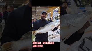 Fresh Fish Seabass  Shark  Shorts [upl. by Eetse]