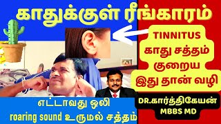 காது இரைச்சல் குணமாக  Understanding Tinnitus Causes Symptoms and Treatments [upl. by Morissa718]