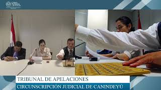 7112024 EXPEDIENTES SORTEADOS POR EL TRIBUNAL DE APELACIÓN PENAL DE CANINDEYÚ [upl. by Bannister]