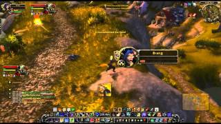 Brang I Am Hunter The Hunter PvP tricks Macros [upl. by Latrina]