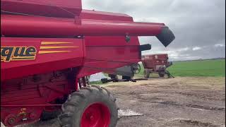 🚜MAQUINARIA AGRÍCOLA  DON ROQUE 125 shorts [upl. by Ahserak]