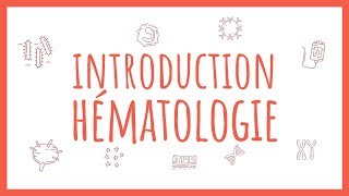 Sémiologie Clinique Hématologique  Introduction [upl. by Hagai683]