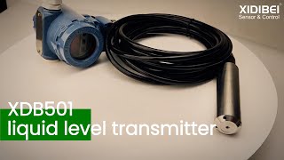 XDB501 Level Transmitter Precision and Stability Explained [upl. by Yrrehc959]