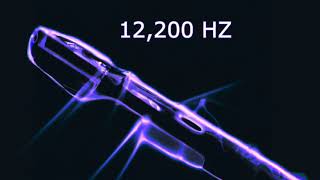 🐕 Dog Whistle Sound with 12000 Hz Tone  1 Hour  1080p [upl. by Pincus]