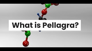 WHAT IS PELLAGRA [upl. by Smada]