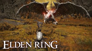 ELDEN RING gameplay cz  27  Unsightly Catacombs Perfumers Ruins [upl. by Vale]