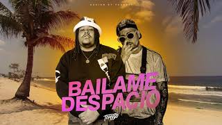 Bailame Despacio  Tomy DJ x DJ Roma  Xantos Vs The La Planta [upl. by Eirised698]