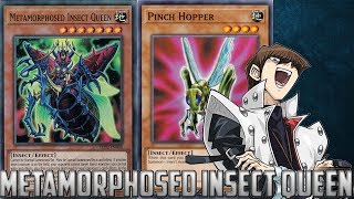 YuGiOh Duel Links  Metamorphosed Insect Queen Beatdown [upl. by Georgine]