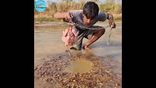 🐓Cickcken Wala Hook Fishing Video🐔 big mangur fish 🐬 ichickenfishing fish fishing shorts [upl. by Ahsiket]