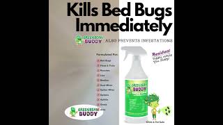 How to Get Rid of Bed Bugs Yourself at Home [upl. by Ielak649]