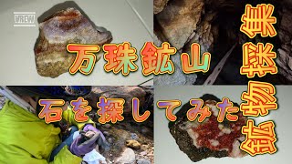 【鉱物採集 万珠鉱山で石を探してみた】こっちちゃんねる鉱物採集 [upl. by Nihi]