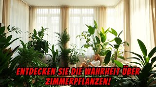 Die WAHRHEIT über die PFLEGE von INNENPFLANZEN 🌿🏡 [upl. by Fatima]