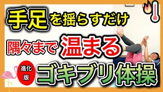 【末端冷え性に効く】手足の冷え症が改善されて血流が巡って体が温まる寝ながら体操 [upl. by Ogu]