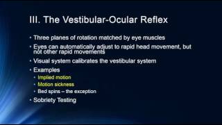 The Vestibular System [upl. by Alric]