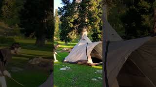 Ultimate Solo Camping Shelter Tips 🏕️🍁💐 solocamping shorts shortsviral shelter [upl. by Emee25]