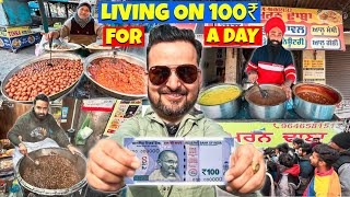 Living on Rs 100 for 24 Hours [upl. by Adihaj]