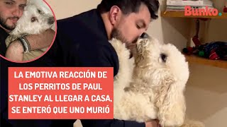 La emotiva reacción de los perritos de Paul Stanley al llegar a casa se enteró que uno murió [upl. by Clotilde126]