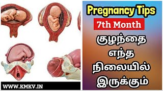 7 Month Pregnancy Baby Position In Tamil Baby Weight Baby Movement [upl. by Itsym]