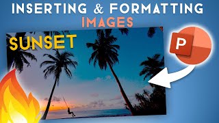 Inserting amp Formatting Images In PowerPoint  Beginners Guide  PowerPoint Tutorial [upl. by Oreste]