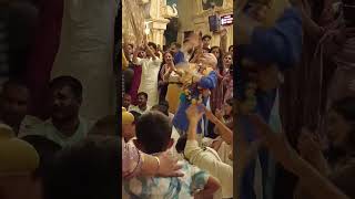 harinam sankirtan iskcon temple virdhawn viralvideo £shortsvideo [upl. by Hamel]