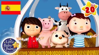 Señor Sol  Canciones Infantiles  Dibujos Animados  Little Baby Bum en Español [upl. by Ylrebma746]