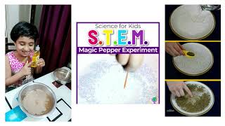 STEM Science  Experiment Pepper Dispersion [upl. by Florencia]