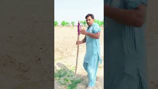 Arshad Nadeem new record  Javelin final 2024  New viral video shorts short viral arshadnadeem [upl. by Shannah]