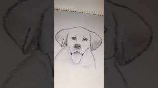 Drawing journey😱😱 drawing artist malayalam painting viralvideo [upl. by Etti799]