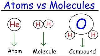 Elements Atoms Molecules Ions Ionic and Molecular Compounds Cations vs Anions Chemistry [upl. by Name]