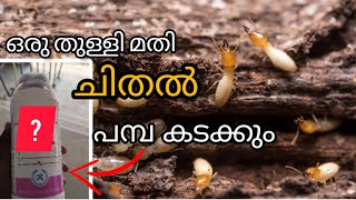 ചിതലിനെ ഒറ്റയടിക്ക് ഒഴിവാക്കാം  Get Rid of Termites in Home [upl. by Gundry680]