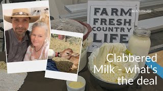 What the Heck is Clabbered Milk [upl. by Nafis]