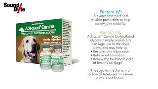 Adequan® Canine SoundByte from American Regent Animal Health [upl. by Haila]