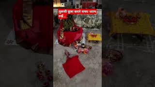 Tulsi Vivah kaise kare  Tulsi Vivah vidhi tulsi pujan kartikmaas pooja Anagh official [upl. by Nehepts66]