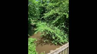 Leeds Liverpool Canal 290524 Kirkstall Abbey [upl. by Katonah]