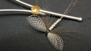 Spent Mayfly with Wally wing dry fly [upl. by Elurd691]