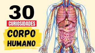 A Ciência do Corpo Humano em Fatos Surpreendentes Você perde 4kg de células da pele todos os anos [upl. by Latreece481]